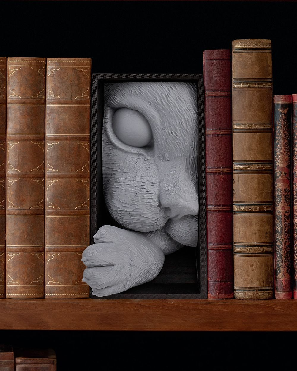 Book Nooks